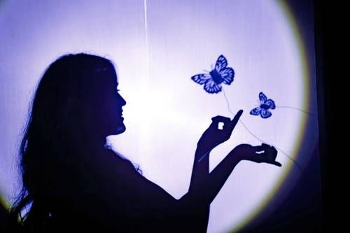 Inicia-el-primer-Festival-Artes-y-Naturaleza-en-el-Jardin-Escenico-del-Centro-Cultural-del-Bosque-2