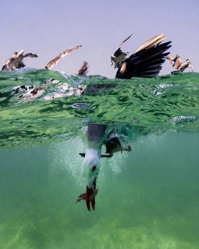 Llega-a-Guadalajara-la-exposicion-fotografica-El-Mexico-de-los-mexicanos-con-55-imagenes